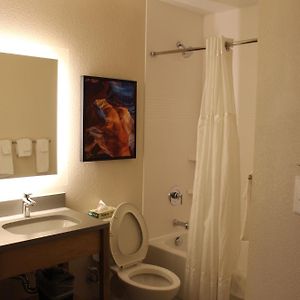 Studio Suite